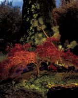 Norlys Rena Nedgravningsspot - Rund Norlys Rena Nedgravningsspot - Rund