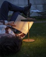 Asteria Move Bordlampe - Antracit/Grå