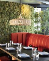 Clava Dine Wood Lampeskærm - Natural Oak